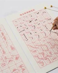岛加偏旁组词(岛加偏旁组词组新字)