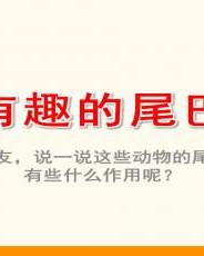 丝带的思思怎么组词