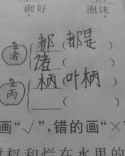 木字旁加个召怎么组词