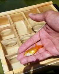 邪组词(斩组词)