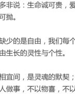 风风的组词(封的组词)