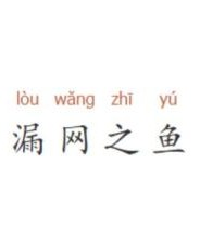 漏网之鱼可以怎么组词