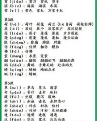 梳理的书可以怎么组词