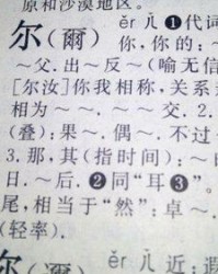 尔的偶尔怎么组词