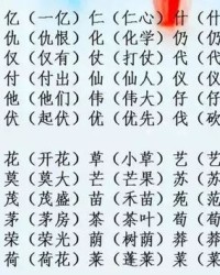 别字组词