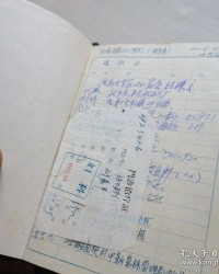 叶的后面组词怎么写