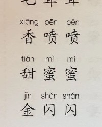 簋怎么读拼音和组词