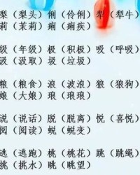 播放无怎么组词