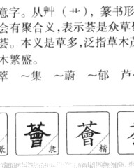 荟的组词(荟的组词是什么)