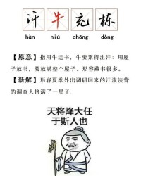 牛的牛字怎么组词