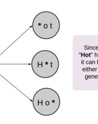 态组词语(态的组词和四字词语)