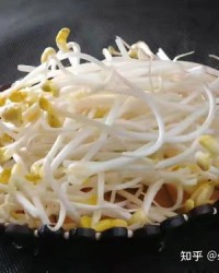 豆芽咋开的咋怎么组词
