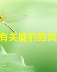 朦字组词(朦字组词和拼音部首)
