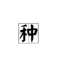 种和样怎么组词呢