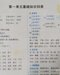 单怎么组词与