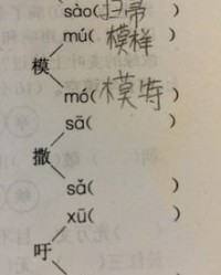 撒怎么怎么组词