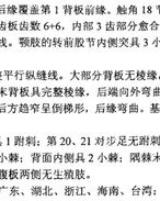 蜈蚣的红的红怎么组词