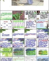 百度主词怎么组词