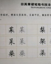 虫偏旁组词(虫偏旁组词语有哪些)