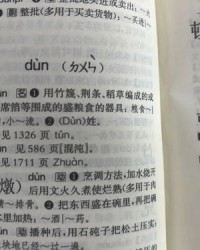 仅的组词怎么