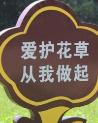 袋轻声怎么组词
