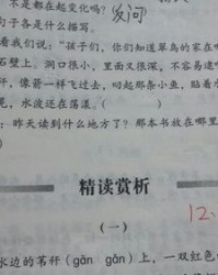 不带三撇的才怎么组词