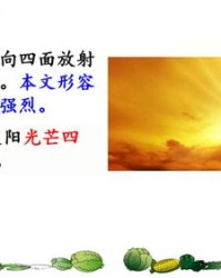 捎梢怎么组词
