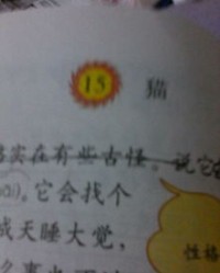 用猫这个字怎么组词呢