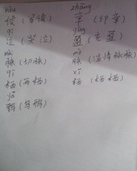 盈怎么组词语