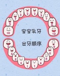 牙的组词有哪些
