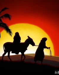 弹字多音字组词(鲜组词 多音字)