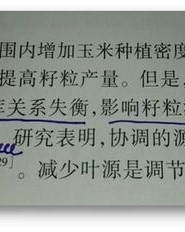 真相的相可以怎么组词