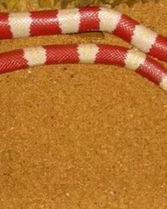 绞蛇的绞怎么组词