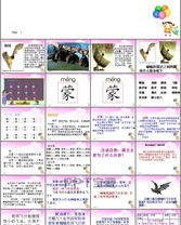 蝙蝠能怎么组词呢