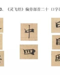 因字加偏旁组词(因加偏旁组字再组词)