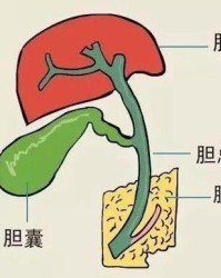 建康怎么组词