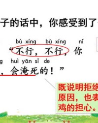 反击的鸡怎么组词