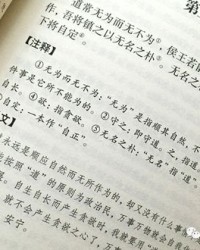 界怎么读组词
