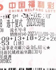 彩票的票可以怎么组词呀