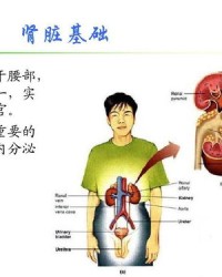 肾虚的肾怎么组词