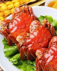 螃怎么组词
