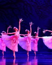 舞蹈的蹈组词(舞蹈的蹈组词,停止的止组词)