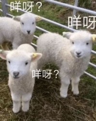 仰首的羊可以怎么组词