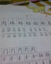 但怎么组词伴