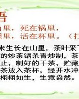 十拾金不昧的拾怎么组词