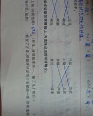 h怎么组词
