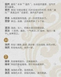 撒拉的傻怎么组词