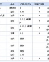 籽棉的紫怎么组词