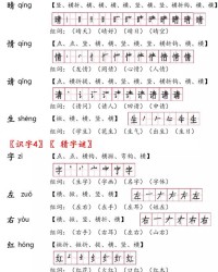 漏该怎么组词