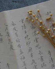 颓拼音组词(颓拼音并组词)